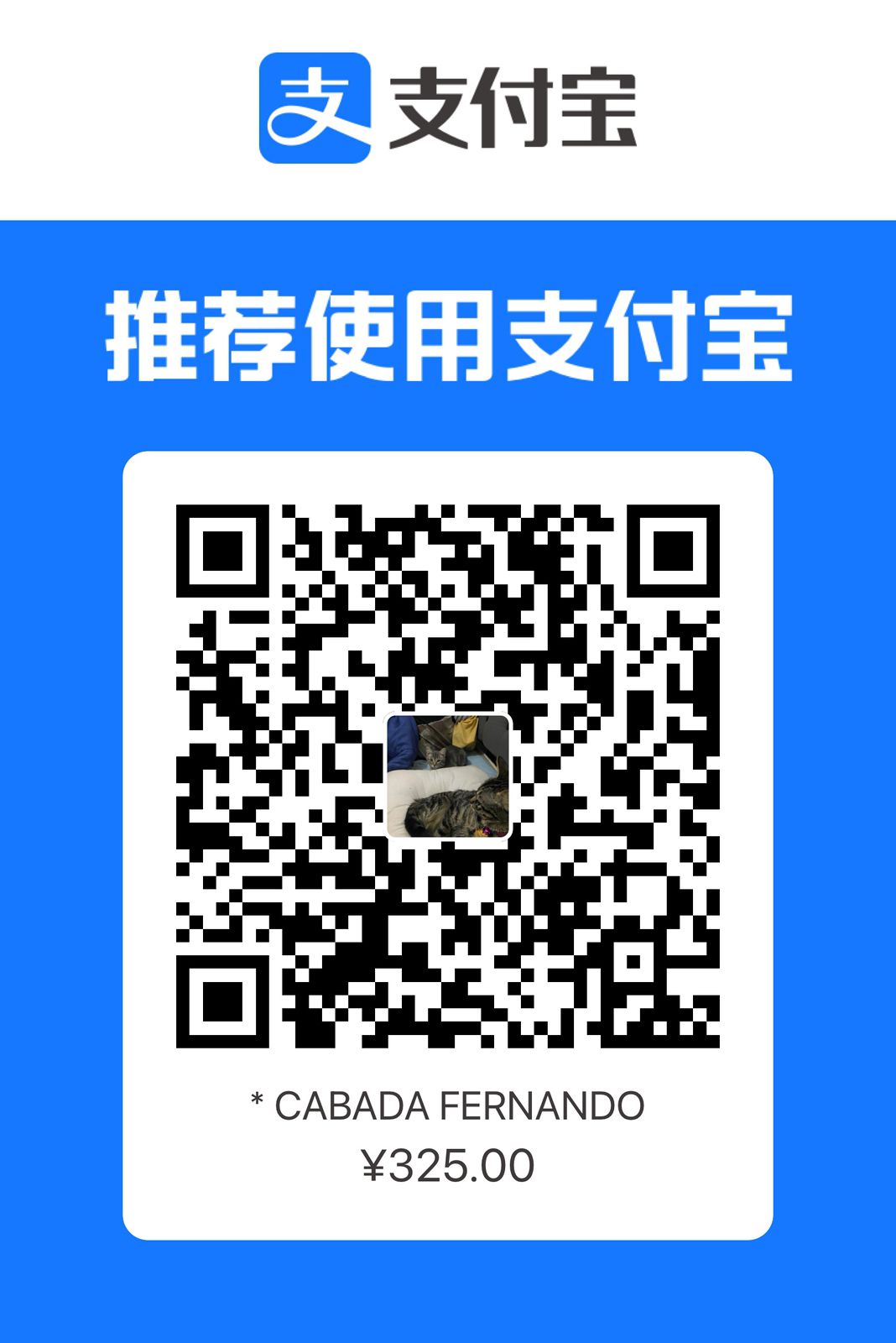 AliPay Image