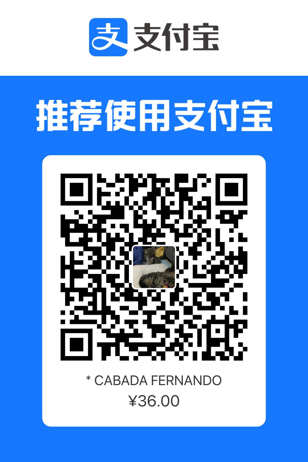 AliPay Image